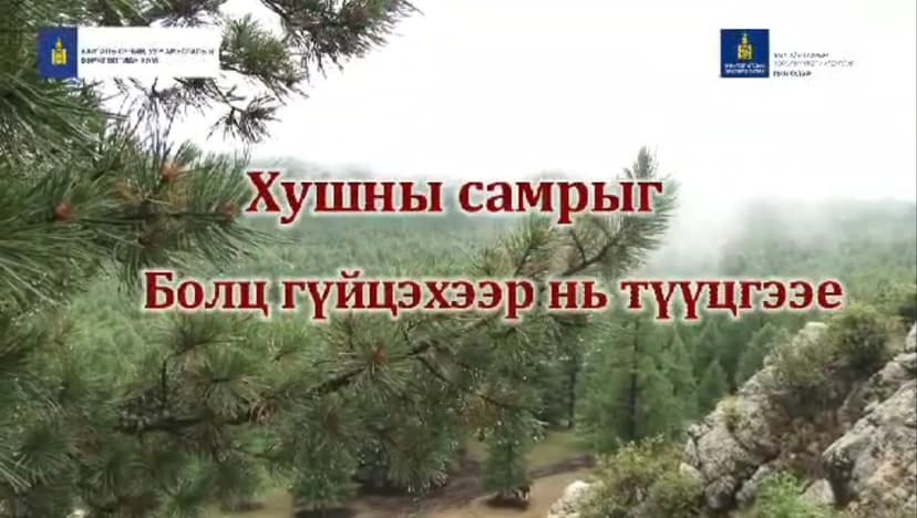 Зураг